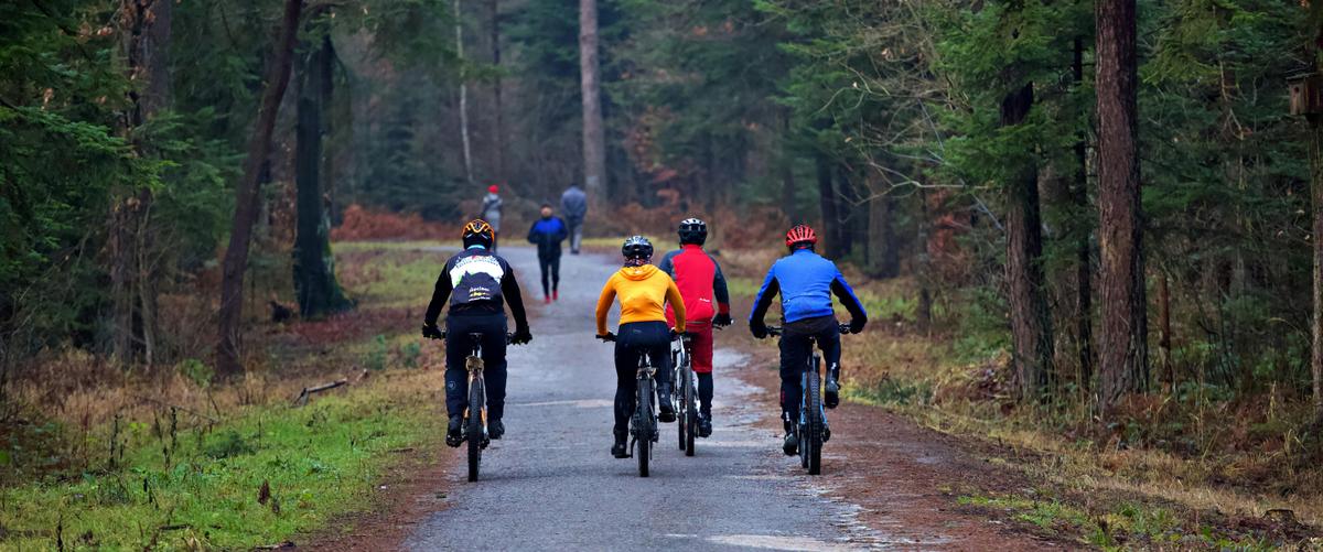 Mountainbikeurlaub an der Ostsee